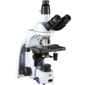 Euromex Microscopio iScope IS.1153-PLi/DF, trino, HF, DF, infinity, plan, 40-1000x, LED