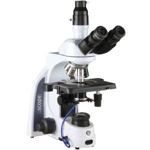 Euromex Microscopio iScope IS.1153-PLi/DF, trino