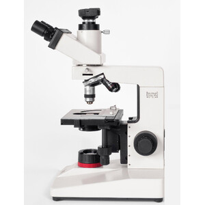 Hund Microscopio H 600 HP LED (DF), trino, 100x - 1000x