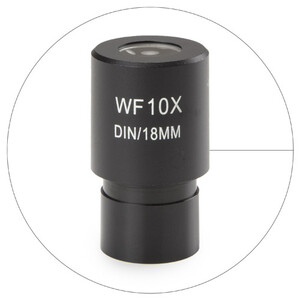 Euromex Oculare di misura HWF 10x/18 mm, puntatore, EC.6010-P (EcoBlue)