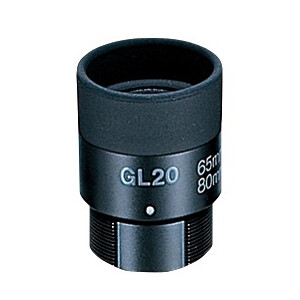 Vixen Oculare GL20