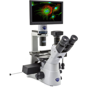 Optika Microscopio invertito IM-3LD4D, 6MP, 12" display, trino, IOS U-PLAN F, LED-FLUO, LWD, 400x, 4 empty filter slots