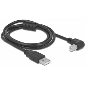 PegasusAstro Cavo Set cavi USB 2x USB2.0 Tipo B 1m