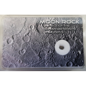 SR-Meteorites Meteoriti Meteorite lunare autentico NWA10203