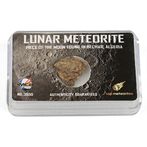 Top Meteorites Echter Mond Meteorit Bechar Algerien 1,25-1,75g