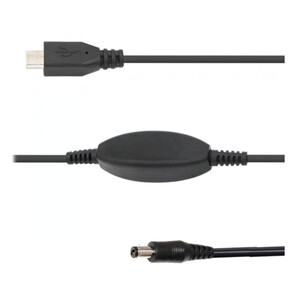 Ikarus Technologies Cavo 12V DC 2.1mm / 5V USB-C
