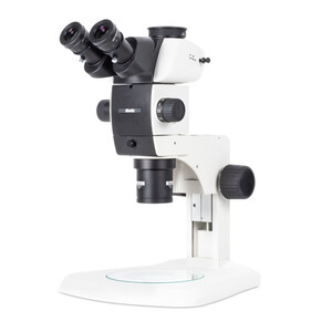 Motic Microscopio stereo zoom SM7TR-P APO1X, trinoculare, 8-56X, WD 81 mm, 7:1