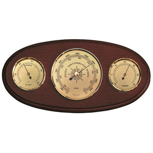 Fischer Stazione meteo 9160