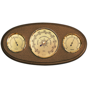 Fischer Stazione meteo 9160