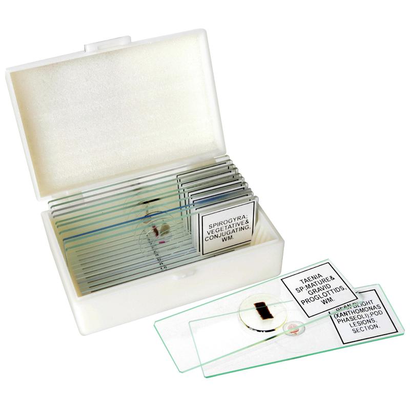 Bresser Set con 12 differenti preparati permanenti