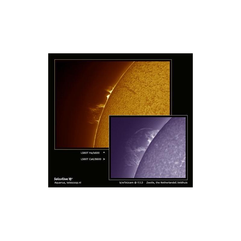 Lunt Solar Systems Telescopio Solare Tubo ottico Lunt ST 60/500 LS60T Ha DS50 B600 C PT
