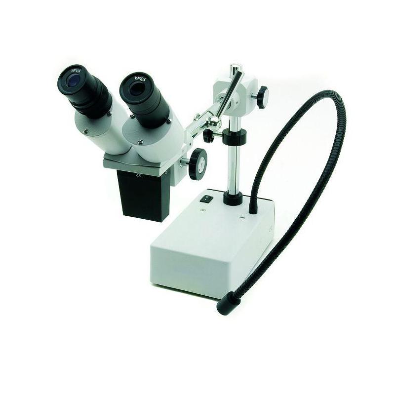Windaus Lente d`ingrandimento stereo (Duale) HPS 50 microscopio con illuminazione LED a collo d'oca