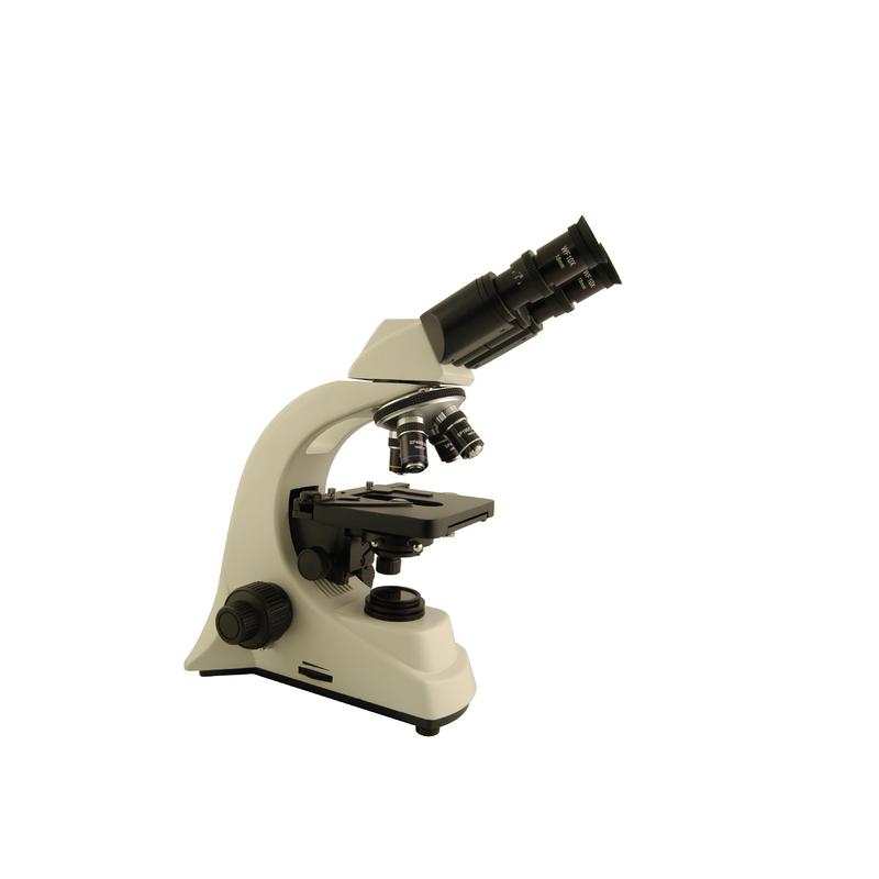 Windaus Microscopio Binoculare HPM 2500