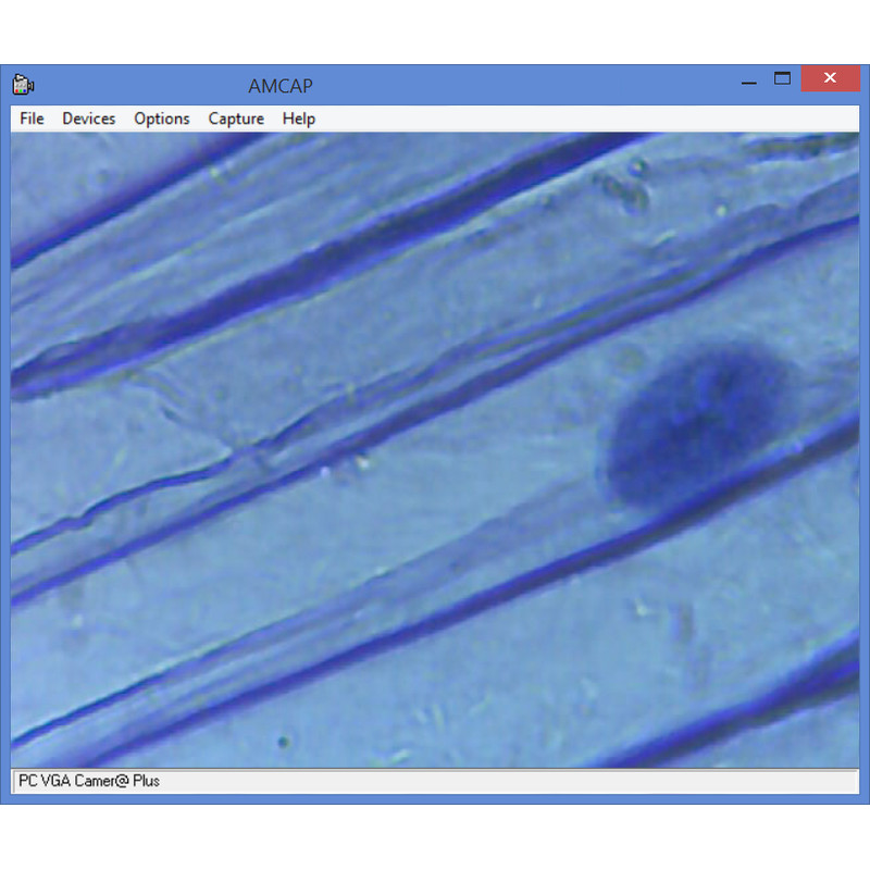 Omegon Microscopio Kit per microscopia, MonoView 1200x, fotocamera, la più venduta introduzione alla microscopia, attrezzatura per la preparazione dei campioni.