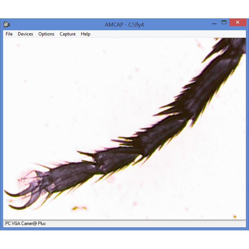 Omegon Microscopio Kit per microscopia, MonoView 1200x, fotocamera, la più venduta introduzione alla microscopia, attrezzatura per la preparazione dei campioni.