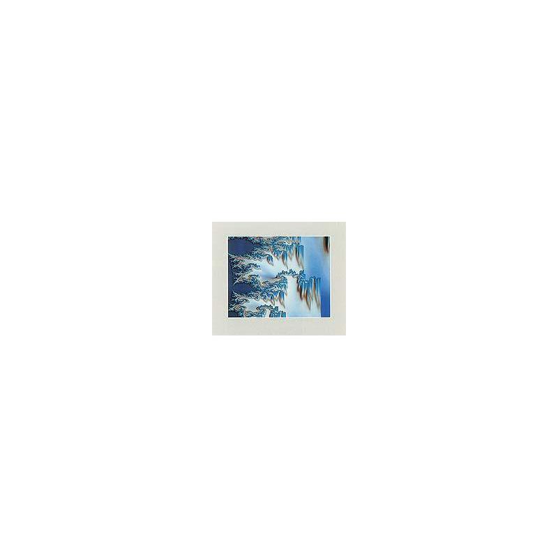 Palazzi Verlag Poster Strutture dendritiche