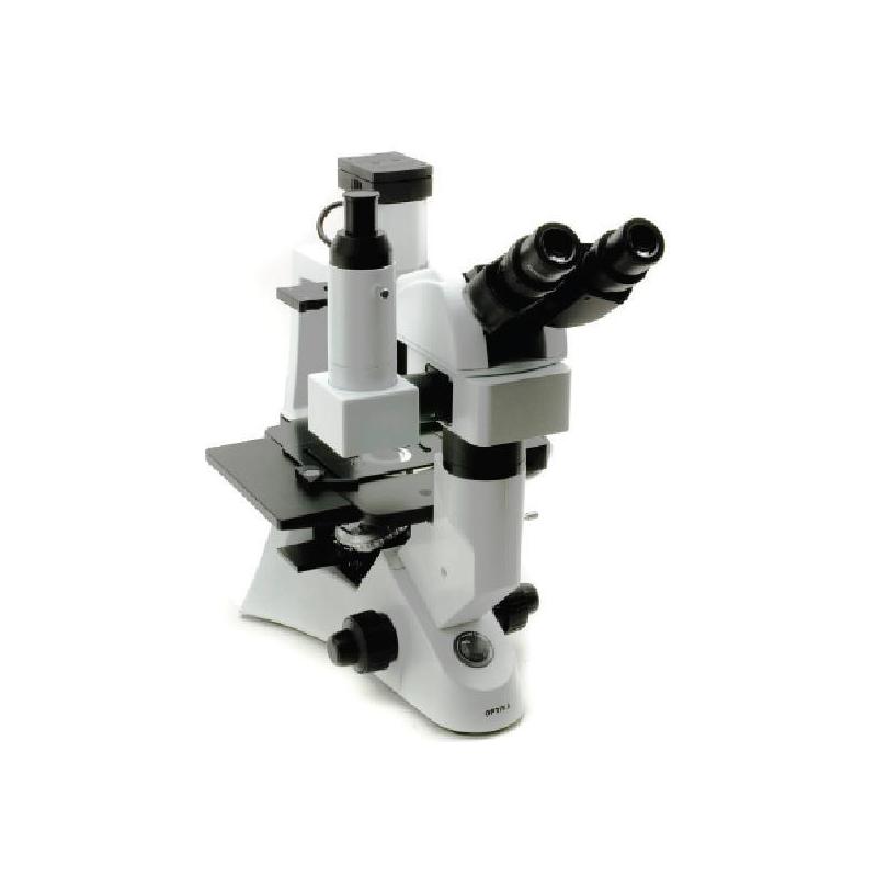 Optika XDS-2 ERGO, microscopio invertito, trinoculaire, con testa ergonomica, IOS, LWD, X-LED