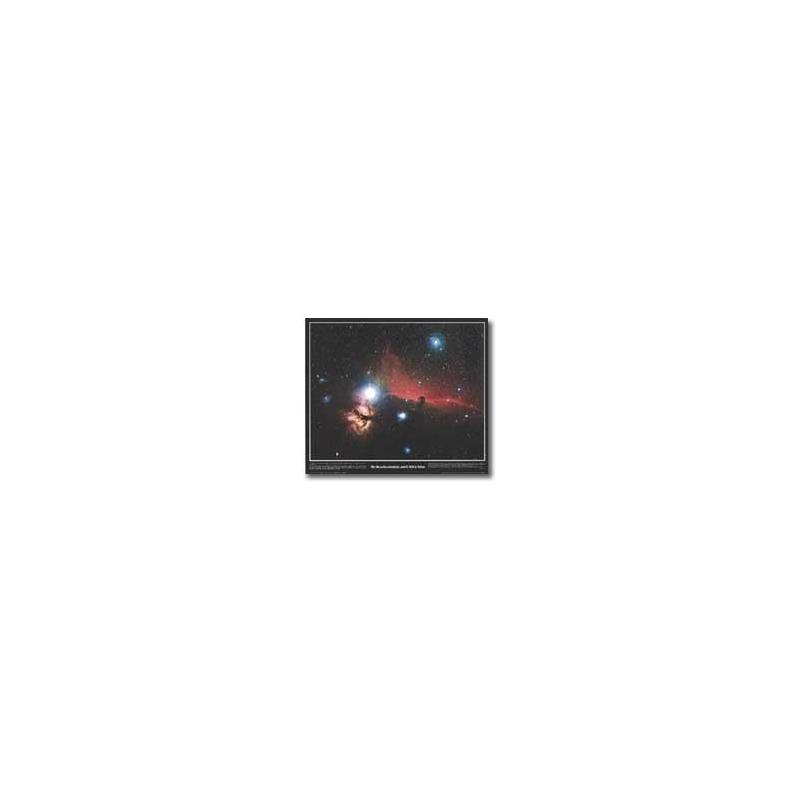 Poster Nebulosa Testa di Cavallo