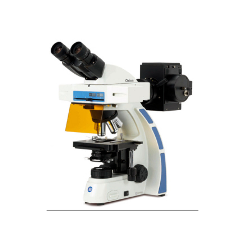Euromex Microscopio OX.3080, binoculare, Fluarex, olio