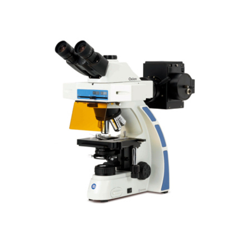 Euromex Microscopio OX.3075, trinoculare, Fluarex