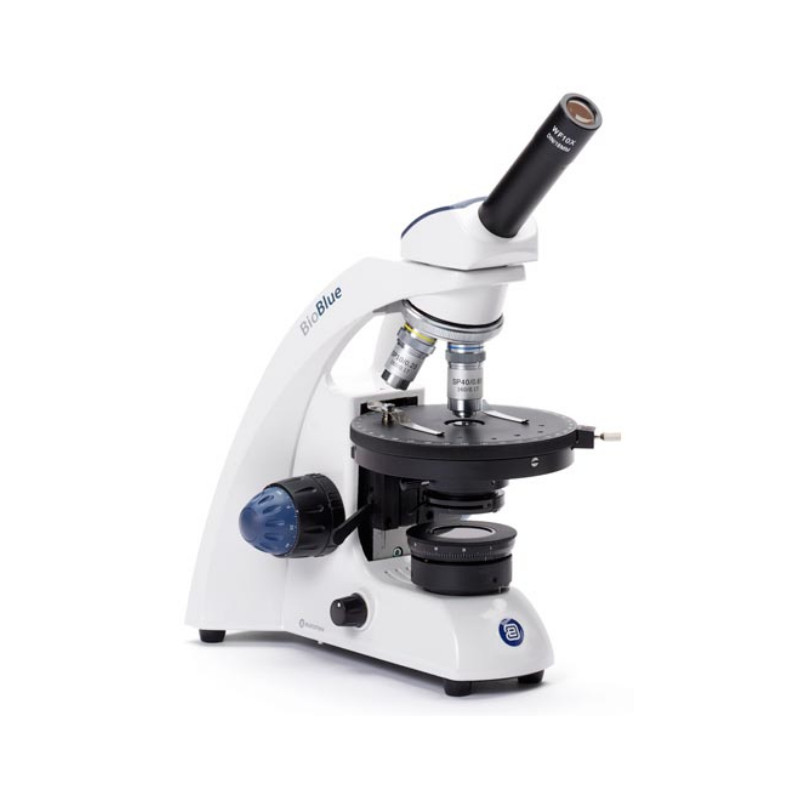 Euromex Microscopio BB.4220-POL, monoculare