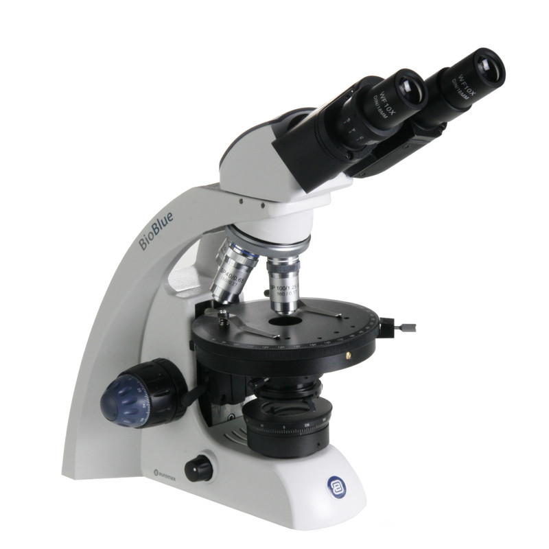 Euromex Microscopio BB.4260-POL, binoculare