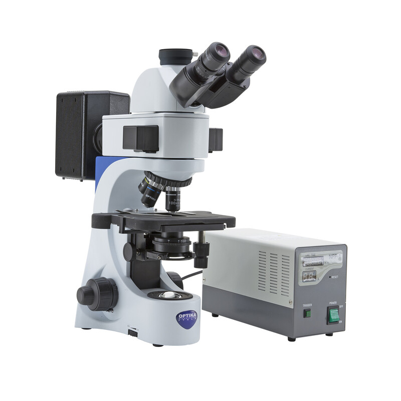 Optika Microscopio B-383FL-UK, trino, FL-HBO, Filtro B&G, N-PLAN, IOS, 40x-1000x, UK