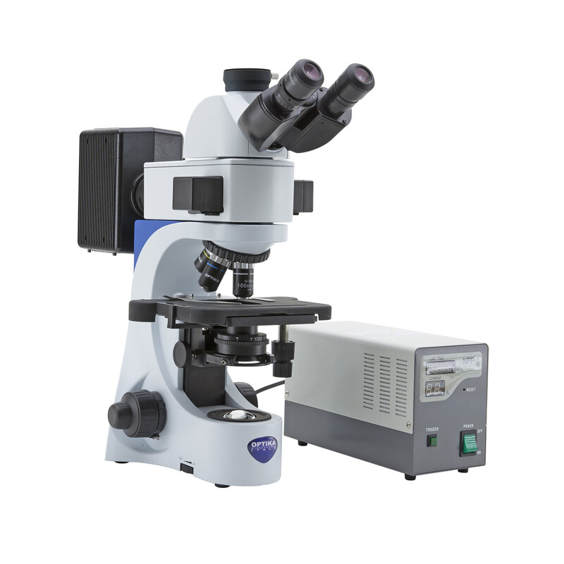 Optika Microscopio Mikroskop B-383FL-SW, trino, FL-HBO, B&G Filter, N-PLAN, IOS, 40x-1000x, CH