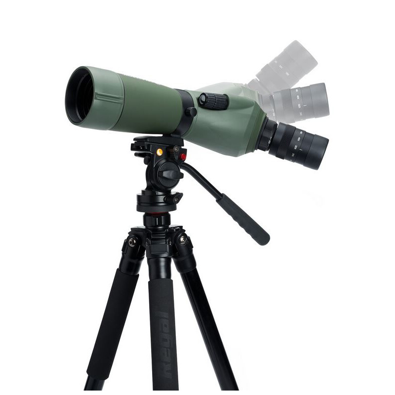 Celestron Cannocchiali REGAL M2 16-48x65 ED