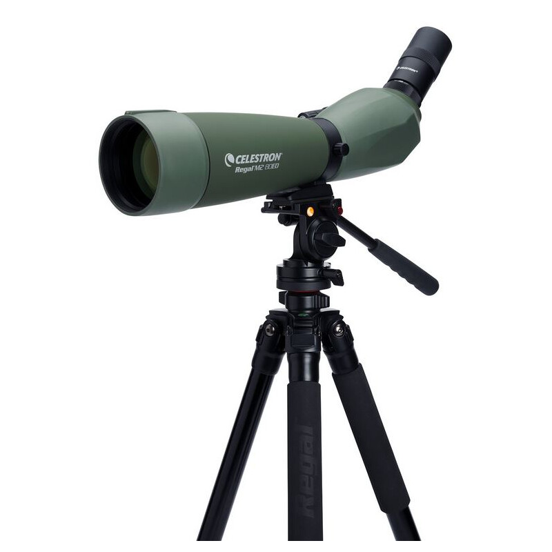 Celestron Cannocchiali REGAL M2 27x80 ED LER