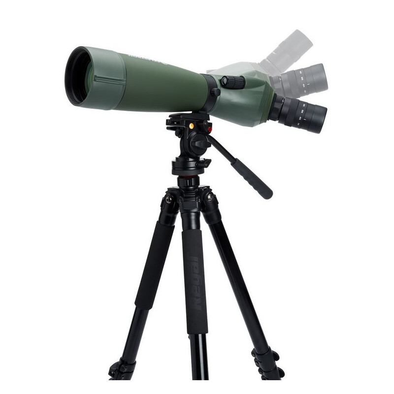 Celestron Cannocchiali REGAL M2 27x80 ED LER