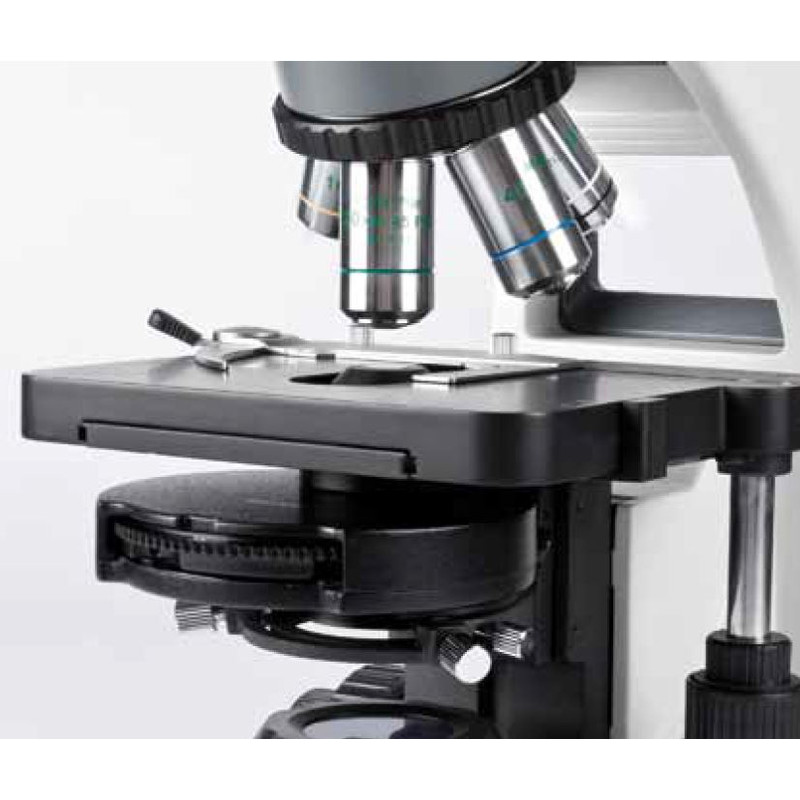 Motic Microscopio BA310E, bino, infinity, EC- plan, achro, 40x - 400x, Hal