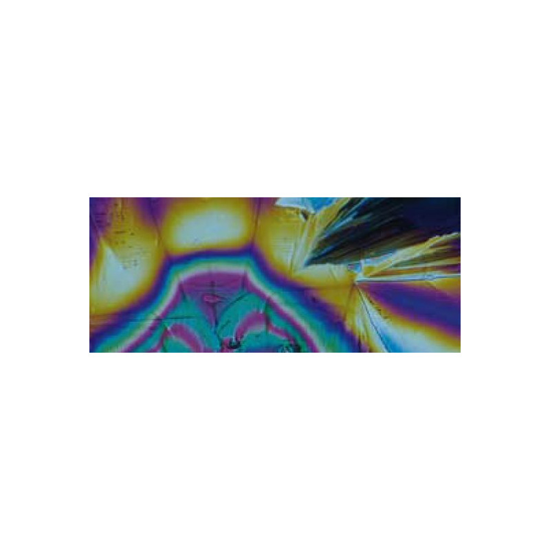 Motic Microscopio BA310, alogeno, binoculare