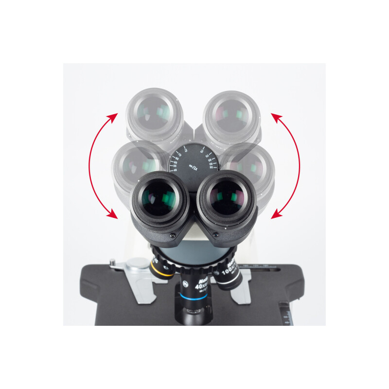 Motic Microscopio BA310E, binoculare