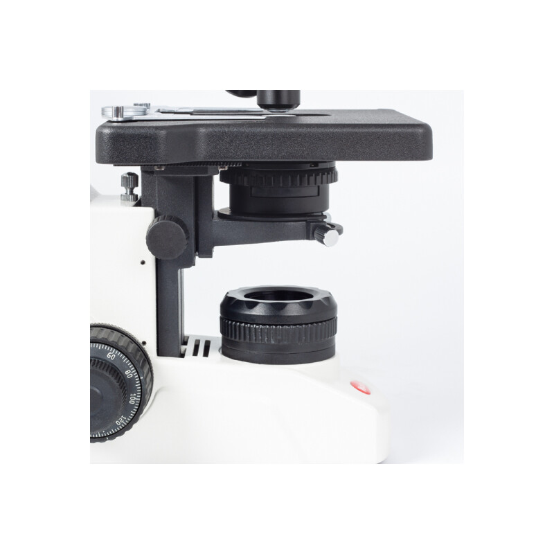 Motic Microscopio BA310E, trino, BF, infinity, EC-plan, achro, 40x - 1000x, Hal. 30W, LED (opt.)