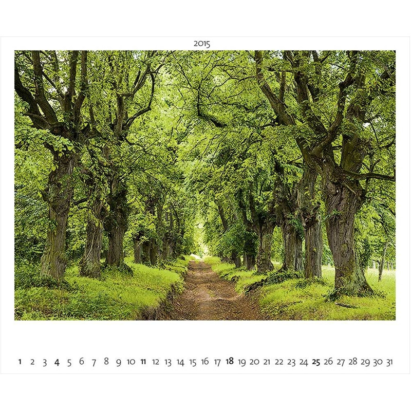 Palazzi Verlag Kalender Naturland Deutschland 2015