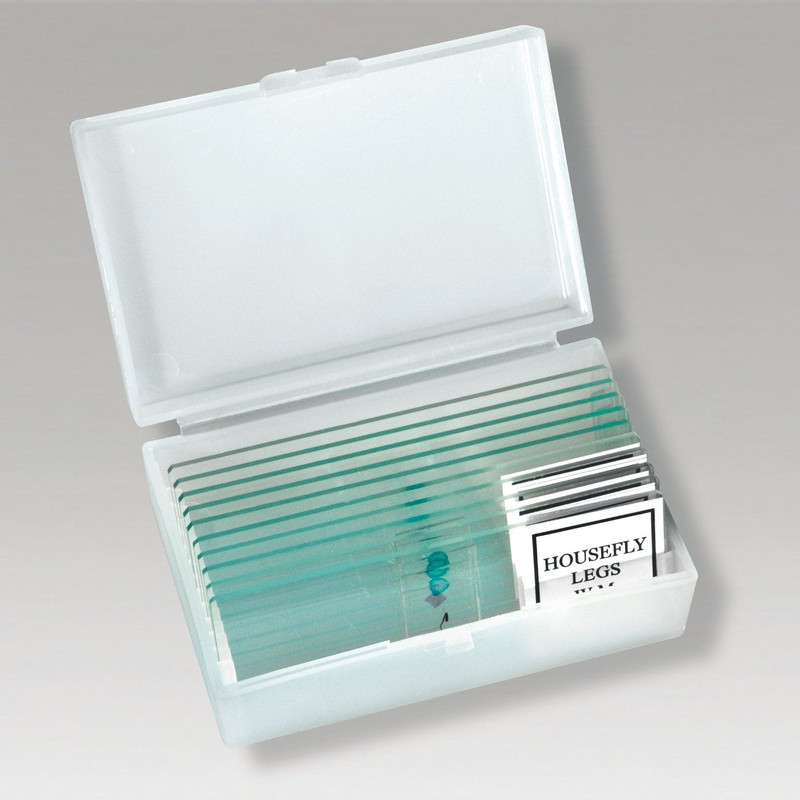 Optus set microscopio Biolux CEAG 40x-1024x