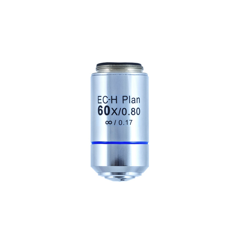 Motic Obiettivo CCIS Plan Acromatico EC-H PL 60x/0,80 (AA = 0,35 mm)