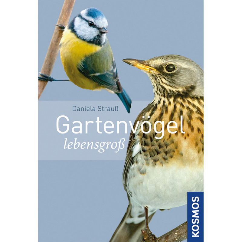 Kosmos Verlag Uccelli da giardino a grandezza naturale (in tedesco)