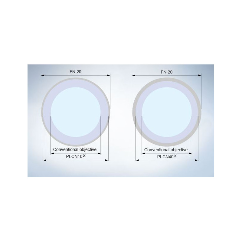 Evident Olympus Microscopio CX31  trino, Hal, 40x,100x, 400x