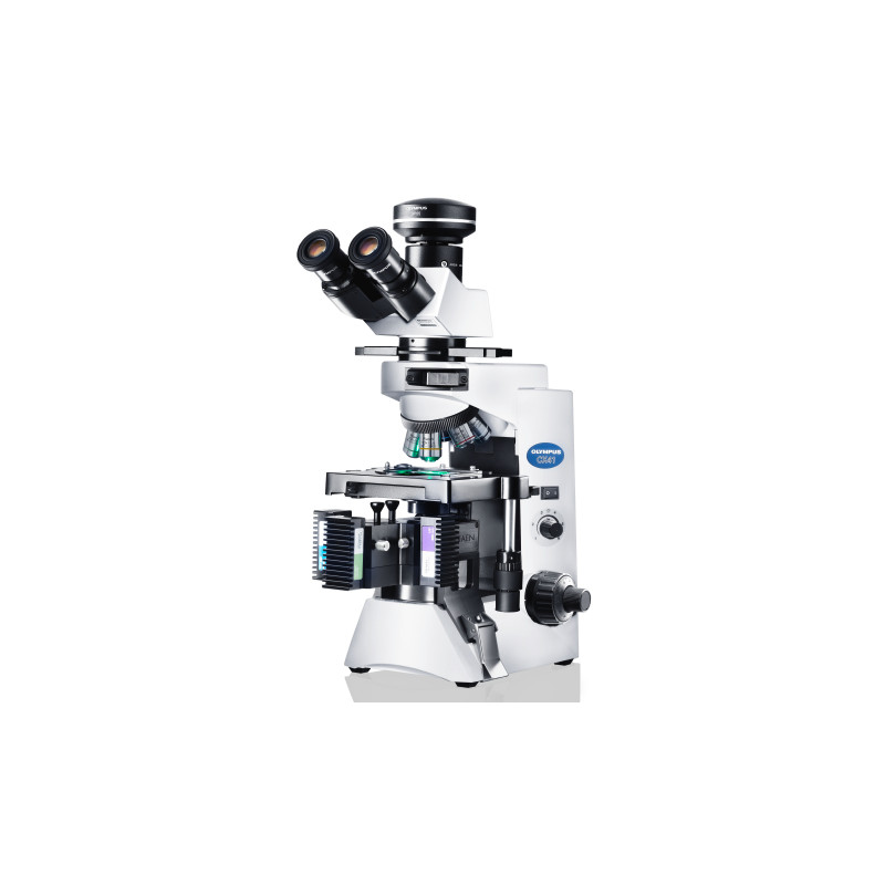 Evident Olympus Microscopio CX41 Fluorescenza, trino, alogeno, 40x, 100x, 400x