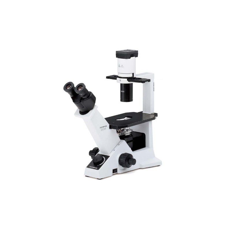 Evident Olympus Microscopio invertito CKX31 campo chiaro, alogeno, binoculare, 40x, 100x, 200x, 400x
