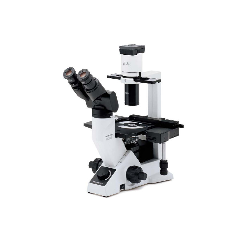 Olympus Microscopio CKX41, bino, ergo, Hal, 40x, 100x, 200x, 400x