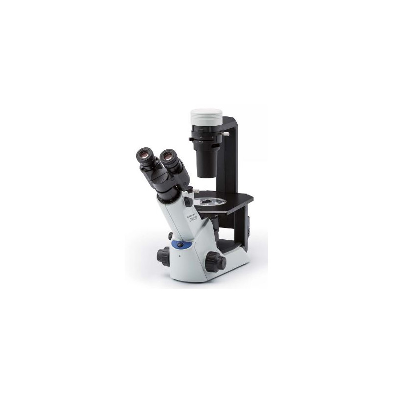 Evident Olympus Microscopio invertito Olympus CKX53 Hellfeld V1, trino, 40x, 100x,