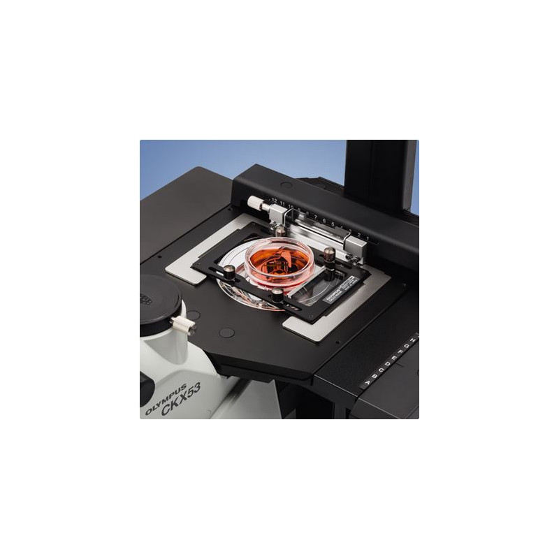 Evident Olympus Microscopio invertito Olympus CKX53 Hellfeld V2, trino, infinity, plan, achro, 2x, 4x, 10x, LED