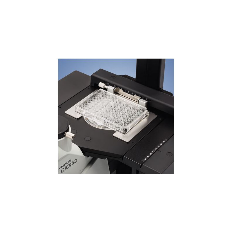 Evident Olympus Microscopio invertito Olympus CKX53 IPC/IVC V1, PH, trino, infinity, achro, 10x, 20x, 40x, LED