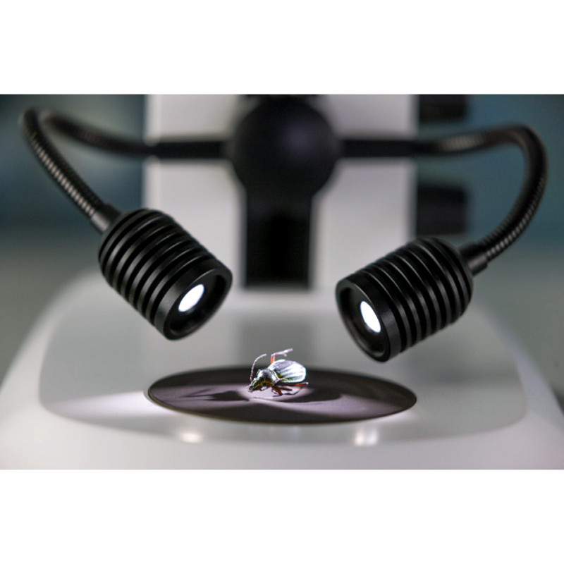 ZEISS Lampada spot K LED