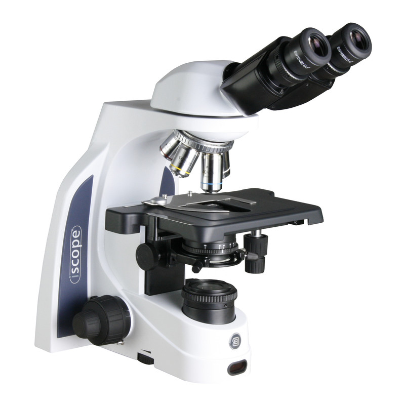 Euromex Microscopio iScope IS.1152-EPLi, bino, infinity, e-plan, 40x-1000x, iCare, LED