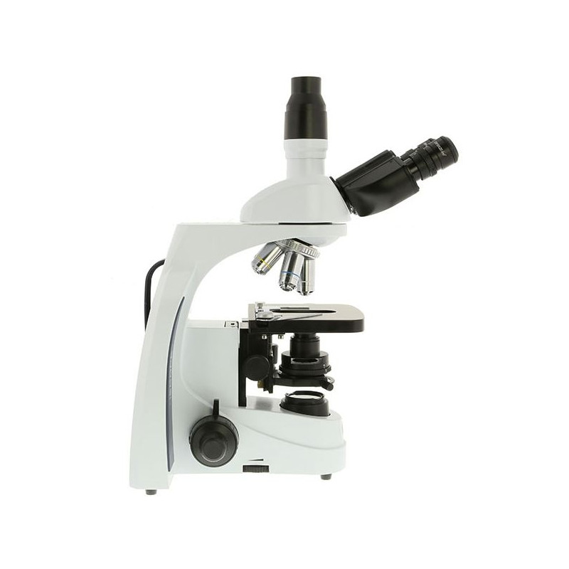 Euromex Microscopio iScope IS.1153-PLPH, PH, trino, DIN, plan, 100x-1000x, LED, 3W