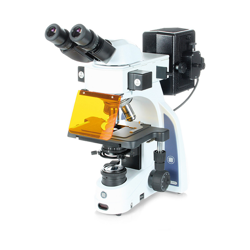 Euromex Microscopio iScope, IS.3152-EPLi/3, bino